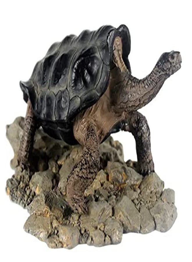 NomoyPet Resin Turtle Shape Decoration Toy for Terrarium (A8-Galapacos (18.5 * 8.5 * 10cm)) - Image 2